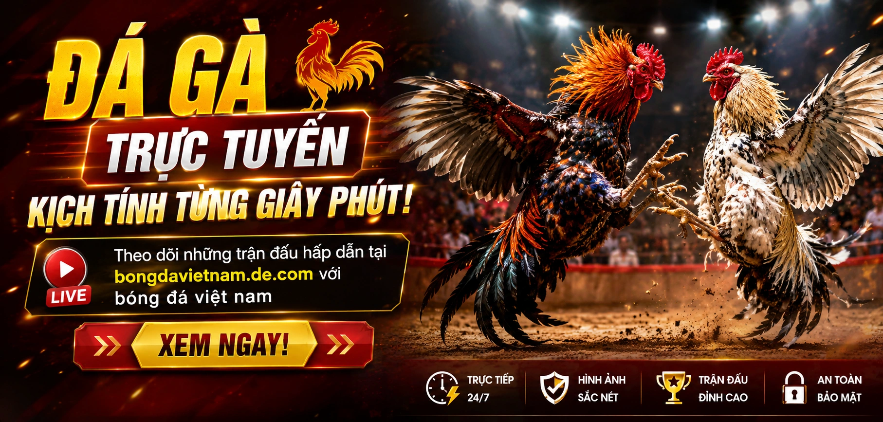 Không gian đá gà trực tuyến với giao diện xem trận và kèo