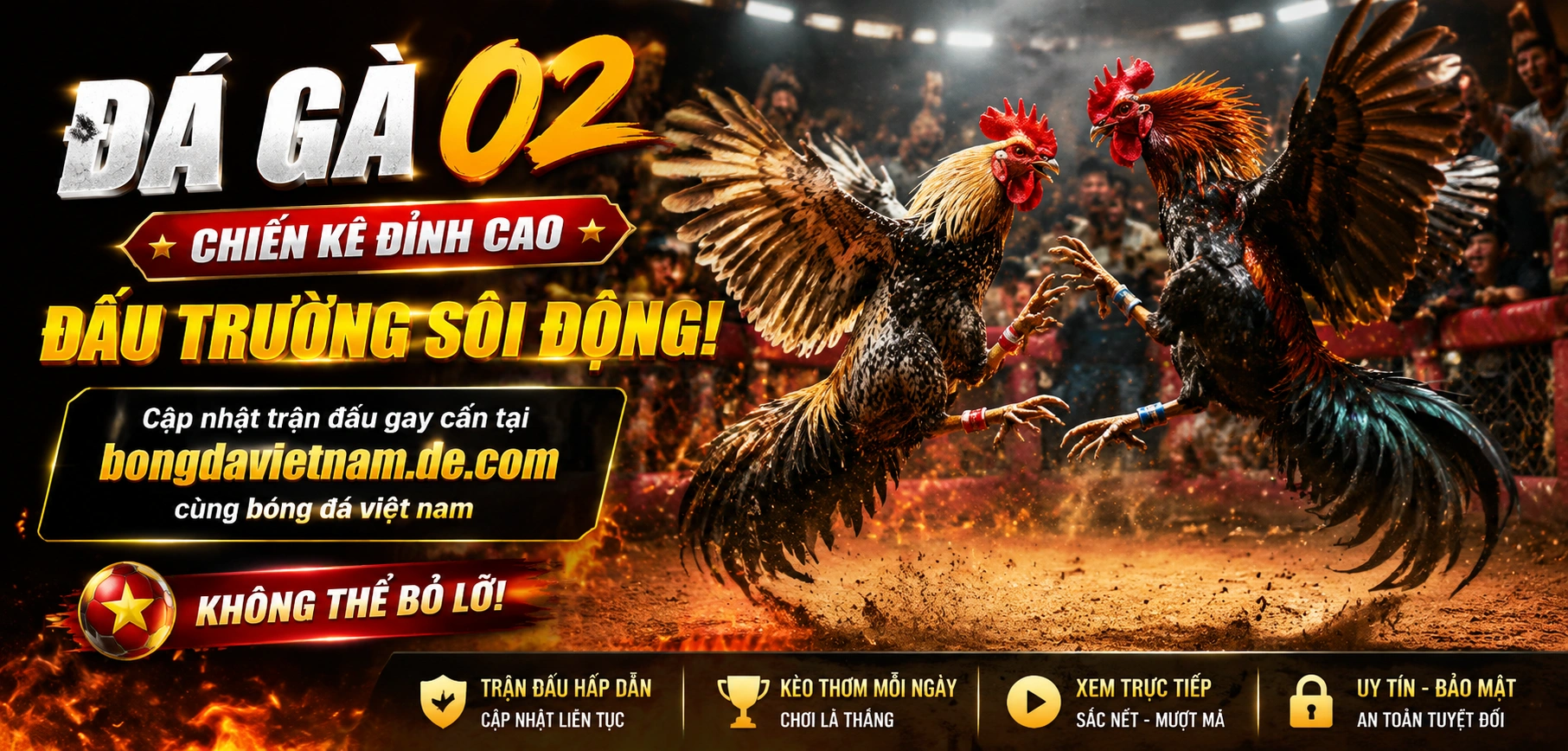Phòng xem đá gà trực tiếp với hình ảnh rõ và bố cục dễ theo dõi