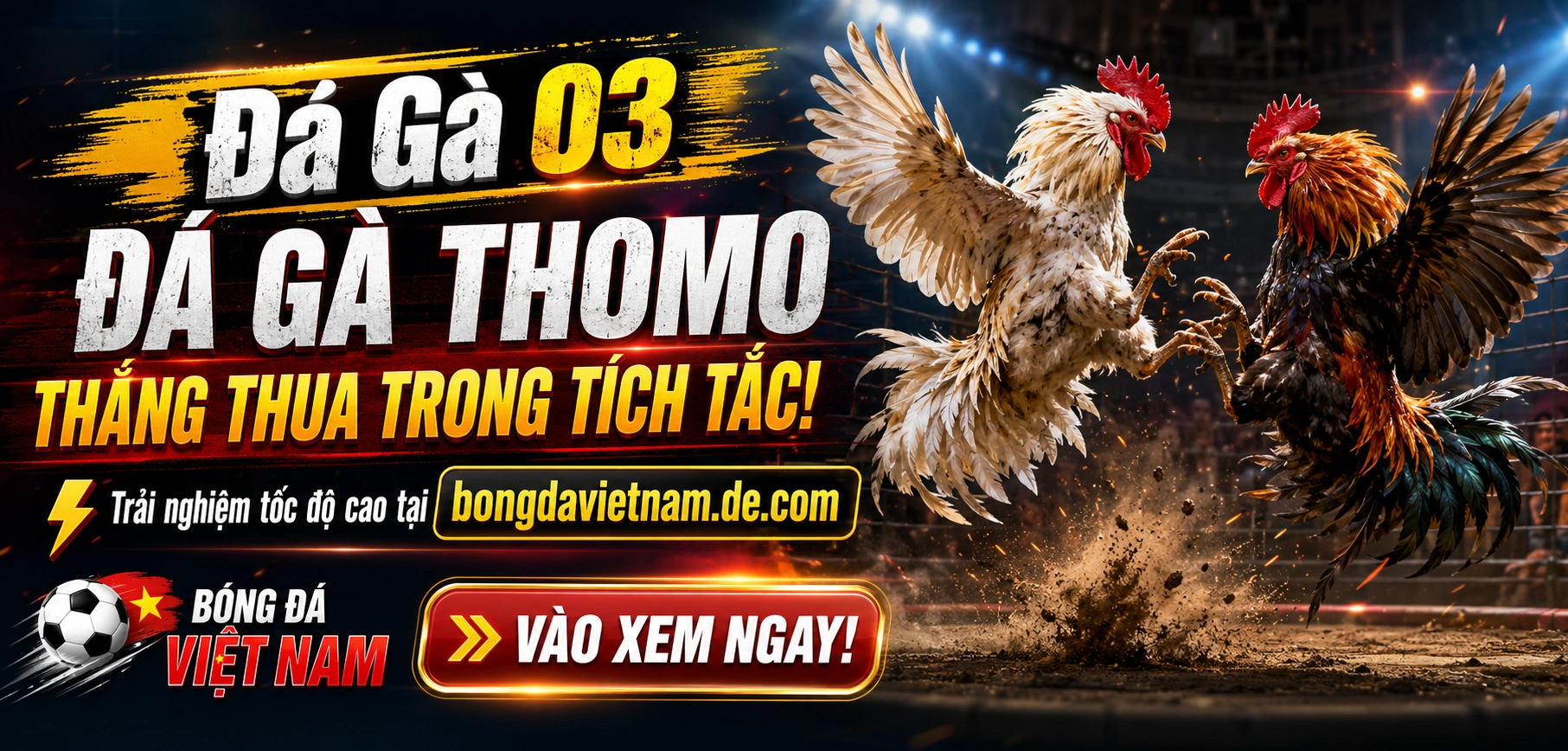 Hình ảnh đá gà Campuchia với bố cục xem trận và bảng kèo